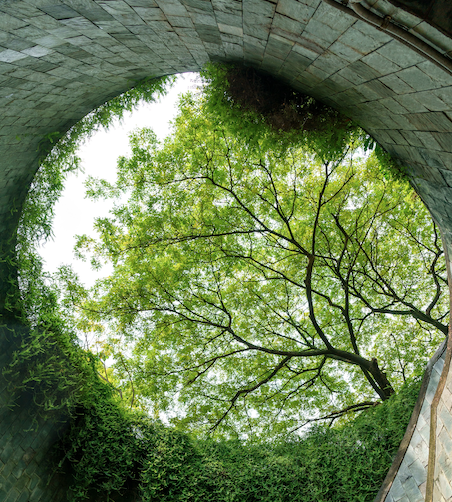 Neighbourhood Guide: Newton